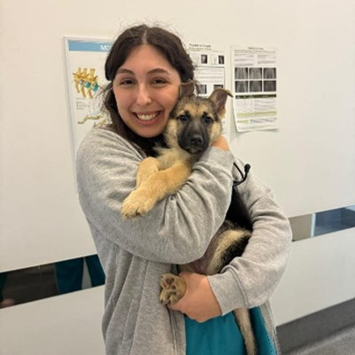 Retrato de Inês Pereira