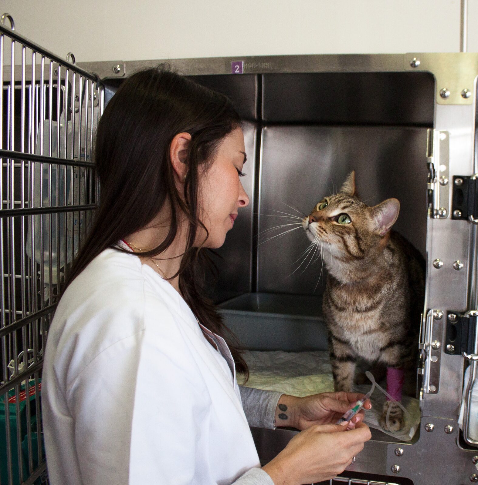 Clínica Os Nossos Bichos