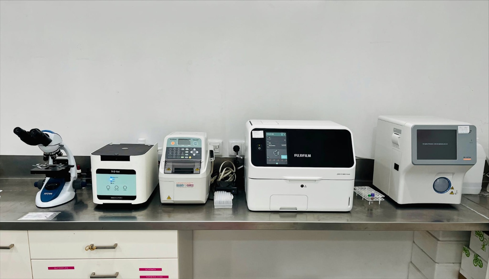 Médica veterinária com gato