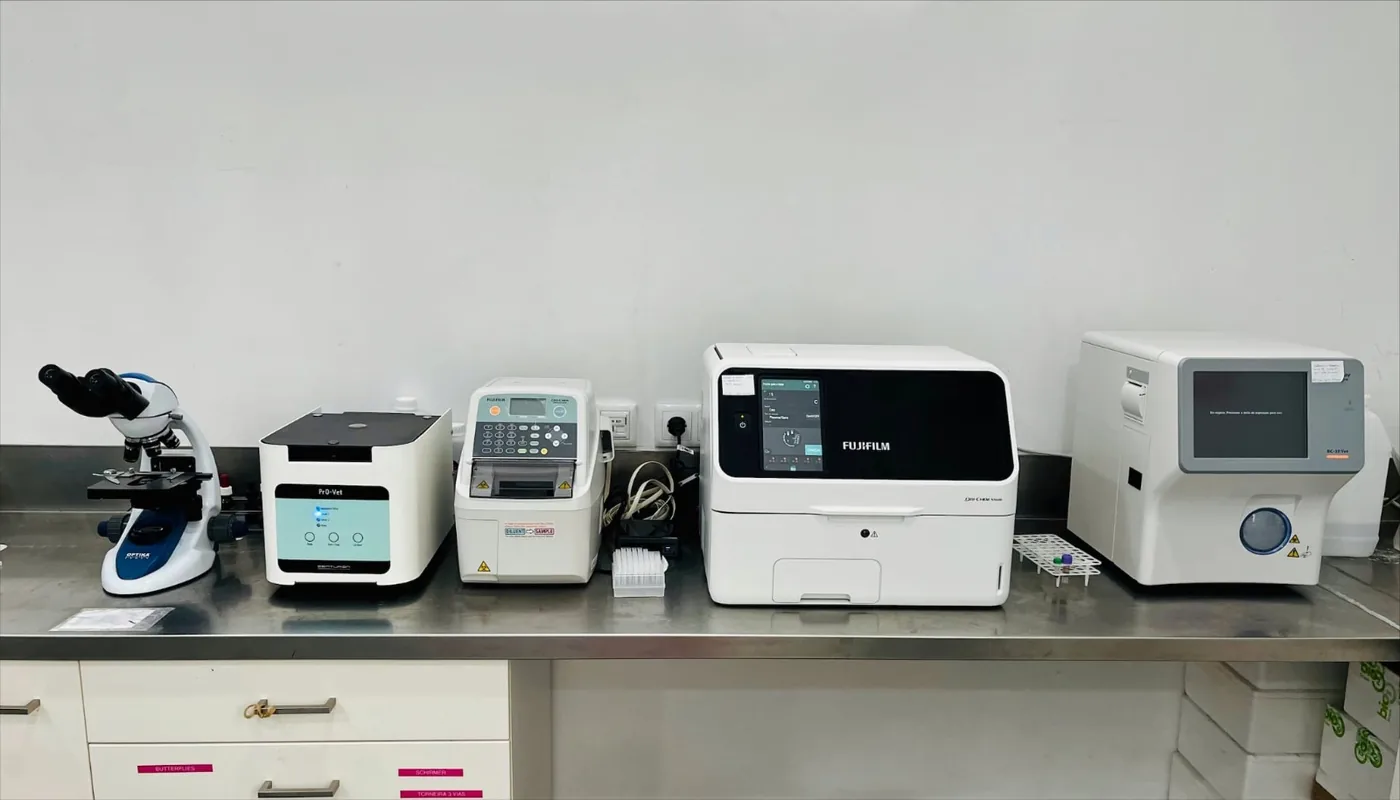 Médica veterinária com gato